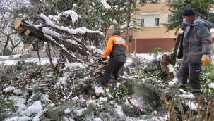 BEŞİKTAŞ BELEDİYESİ 7/24 GÖREV BAŞINDA!