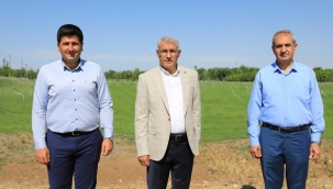 Battalgazi Belediyesi 'rulo çim üretim tesisi' kurdu