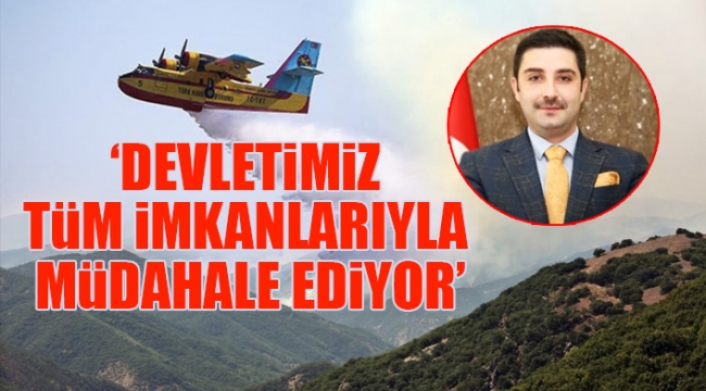 AKP Tunceli İl Başkanı, yangın fotoğrafına photoshop ile söndürme uçağı ekledi