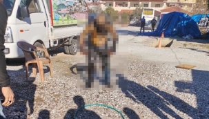 Marmaris'te Zabıta mallarını sattırmadı, kendini yaktı, hayatını kaybetti