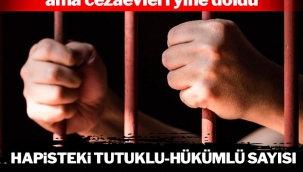 Hapisteki nüfus 42 bin kişi arttı!