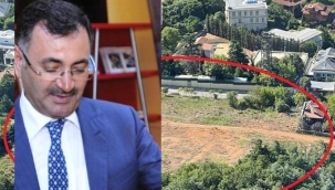 Ak Partili Mustafa Kara, Cumhurbaşkanı Erdoğanın evinin önündeki ağaçları kesti