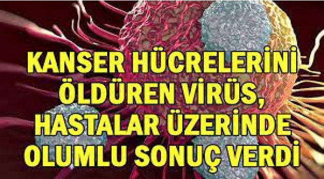 Kanser hücrelerini öldüren virüs hastalar üzerinde olumlu sonuç verdi