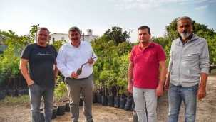 Çeşme Sakız piyasasında bir dünya markası olacak