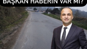 FATSA'NIN GÖBEĞİNDE ÖLÜMLE BURUN BURUNA! VATANDAŞLARIN KABUSU OLDU