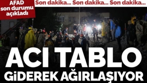 Son dakika... Kahramanmaraş merkezli 7.7 ve 7.6 büyüklüğündeki depremlerde son durum açıklandı: 3 bin 381 can kaybı