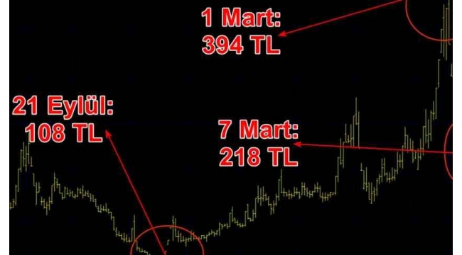 Elektrik çarptı! '700 TL olacak' dediler, yatırımcı bir haftada yüzde 40 zarar etti