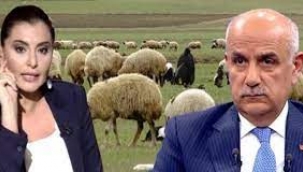 HKP'den Hande Fırat ve Bakan Vahit Kirişci hakkında suç duyurusu