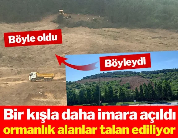Bir kışla daha imara açıldı ormanlık alanlar talan ediliyor