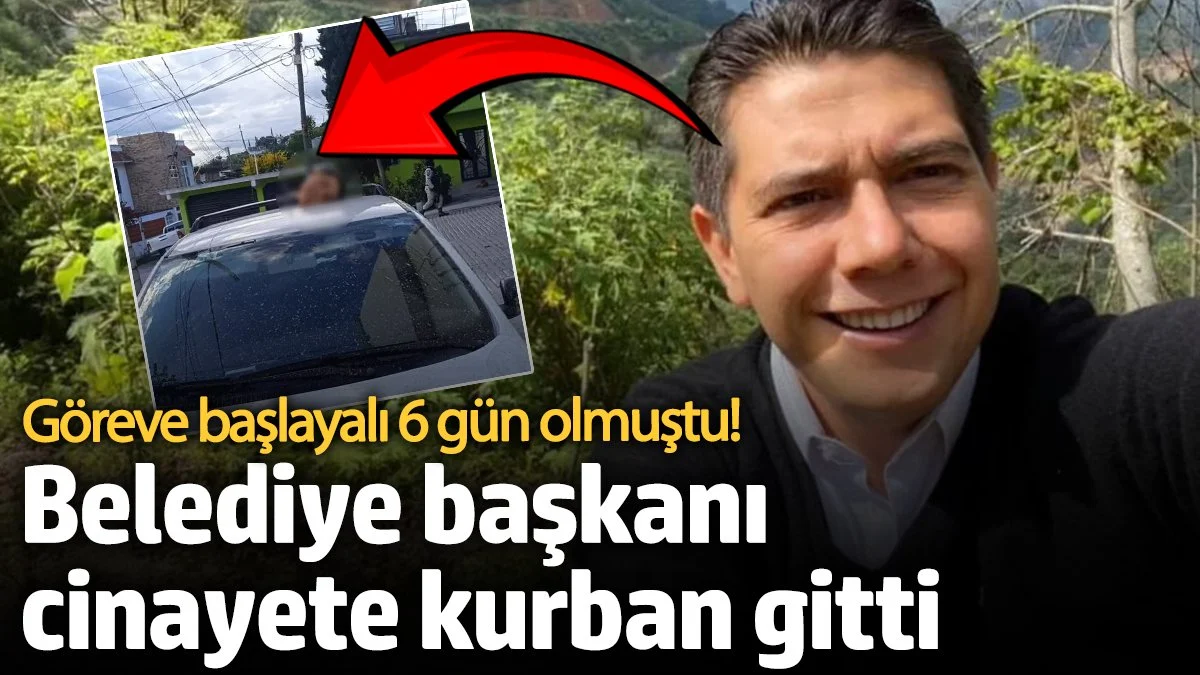 Belediye başkanı cinayete kurban gitti! 